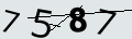 verifycode
